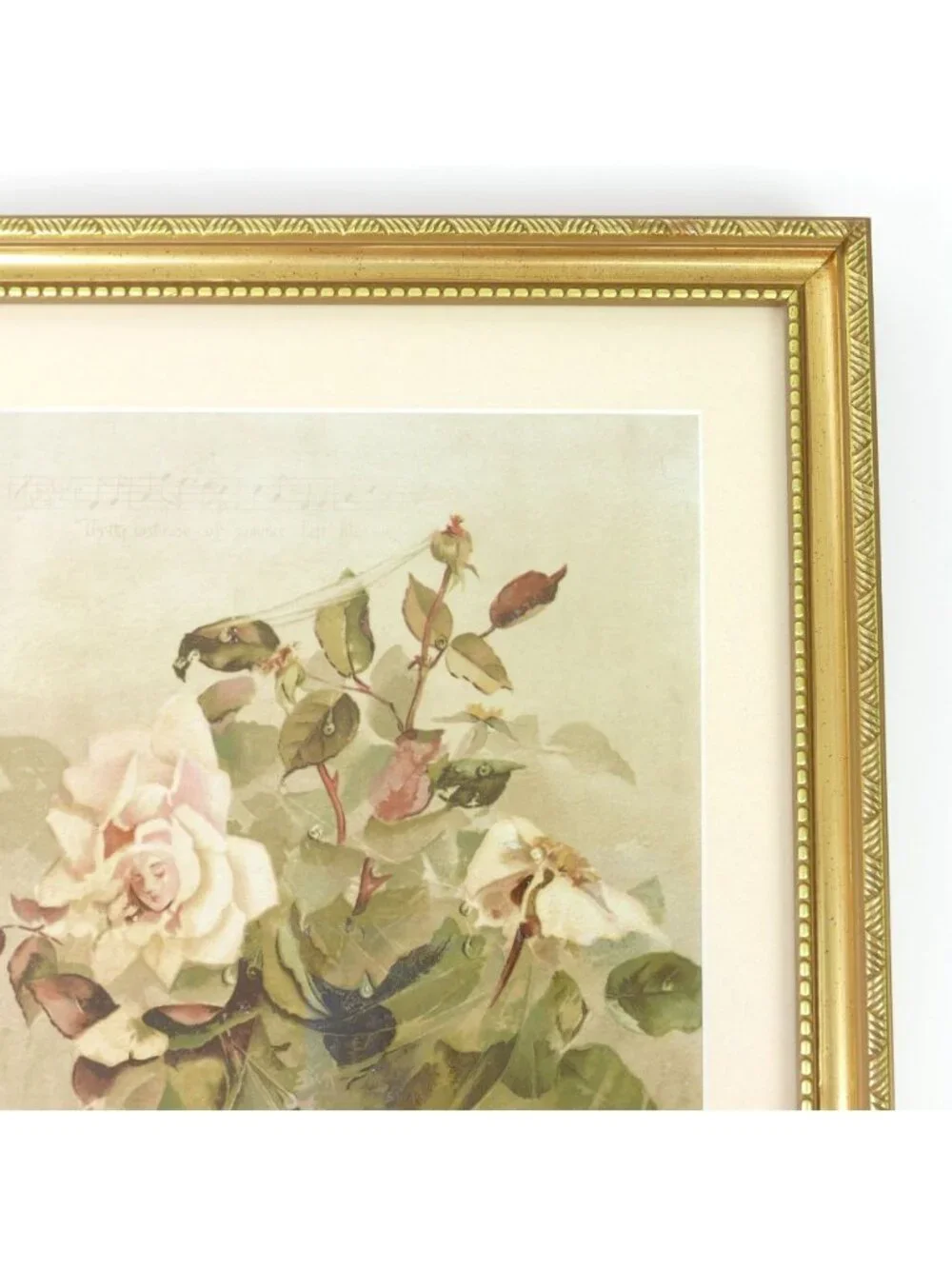Antique 1889 Louis Prang Chromolithograph Pink Roses Ellen Thayer Fisher Framed